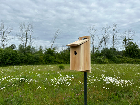 Bird House - DIY Digital Plans